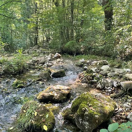 Daire Alibi Boljevac