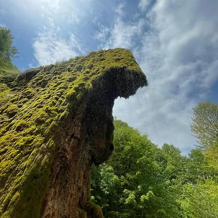 Alibi Daire Boljevac